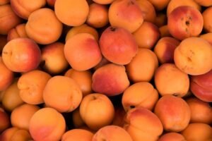 Apricot image