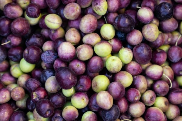 A bunch of Malabar plum