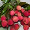A lot of lychees