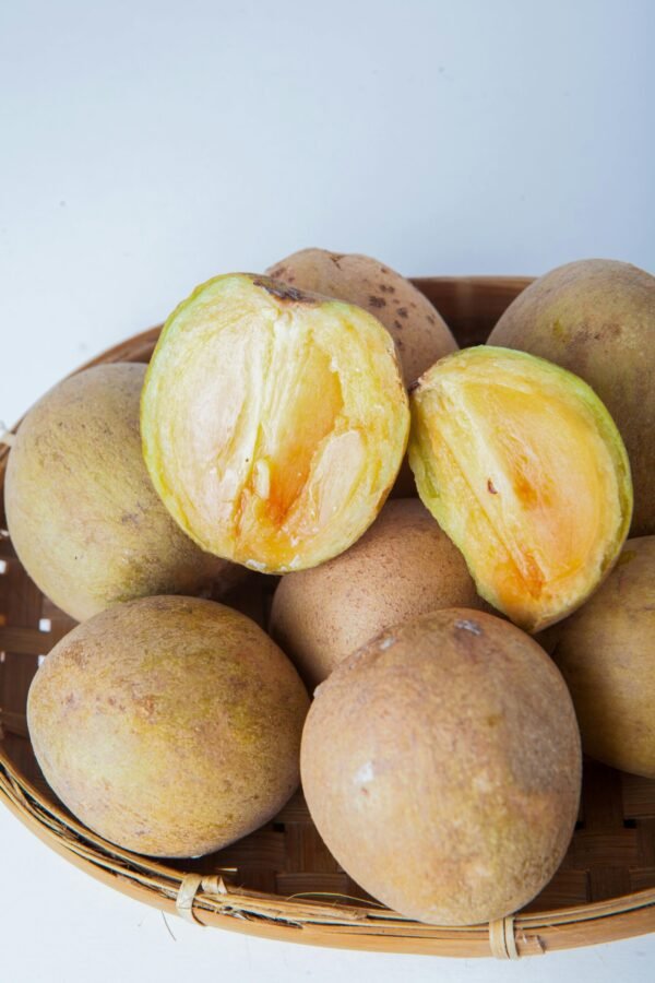 Sapodilla in a bucket