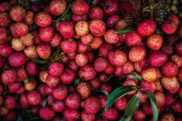 Bunch of fresh Lychee