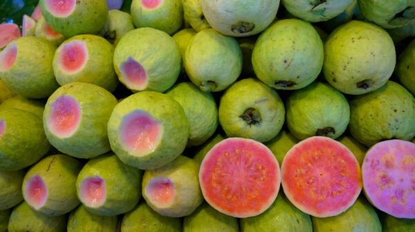 cutted guava