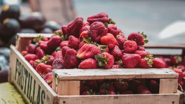 strawberries in a bucket
