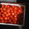 tomatoes in a box for sale